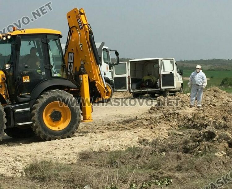 Три села от Хасковска община са в зона на наблюдение, заради птичи грип в Черногорово