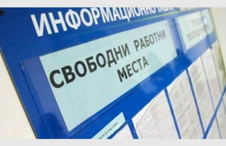 Свободните работни места за община Първомай