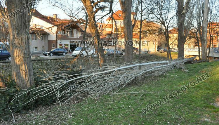 Жълт код за силен вятър в Хасковско