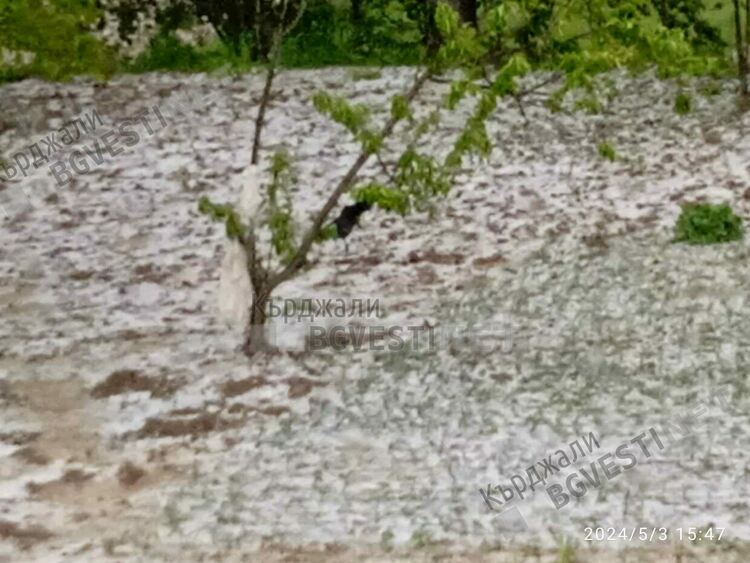 Градушка помля посеви и овошки в Бял извор,хората плачат от мъка