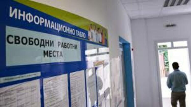 Свободните работни места. Търсят се медицински сестри