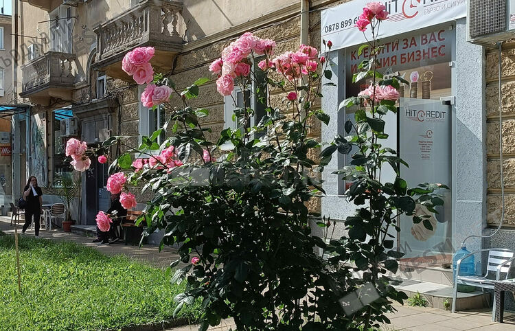 Променлива облачност днес над Кърджали,тихо време