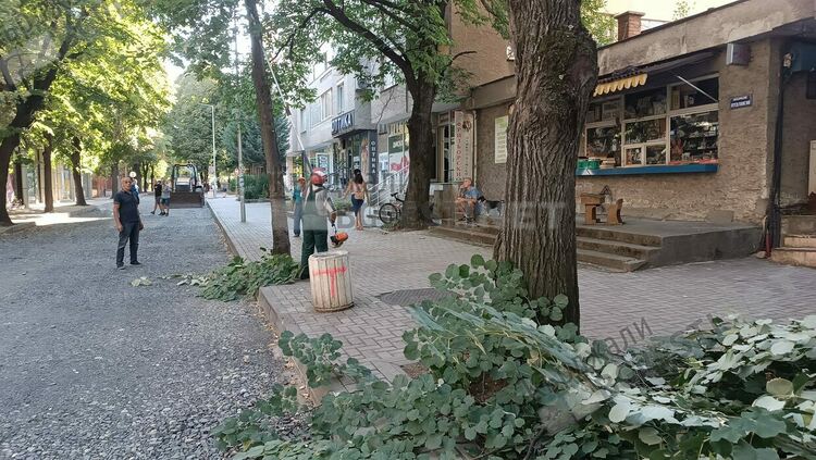 Започват асфалтирането на улица „Отец Паисий” в Кърджали,подрязаха дъретата за да влязат машини с големи габарити.