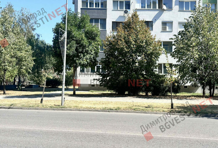 Търсят се добри осиновители в Димитровград за две млади фиданки