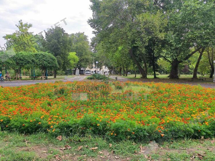 Слънчево и ветровито днес в Кърджали