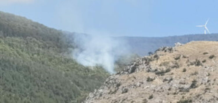 Пожар в гората под Бузлуджа
