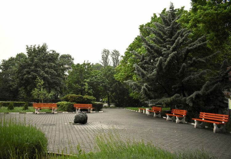Пръскат срещу кърлежи в Асеновград 