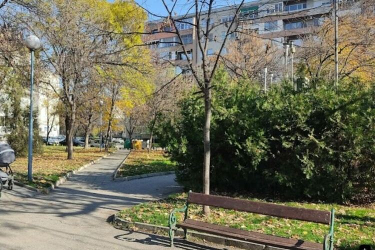 Смъртта, скрита зад туите. Прикриването на отровния въздух в България