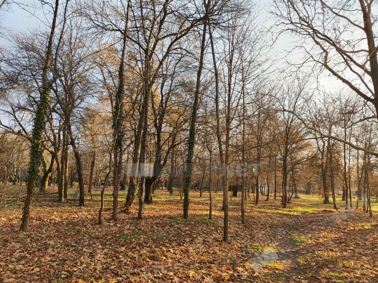 Предимно облачно,но без валежи днес в Кърджали