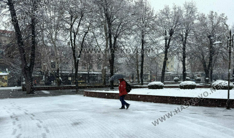 Жълт код за сериозни валежи от сняг в Северна България и Черноморието