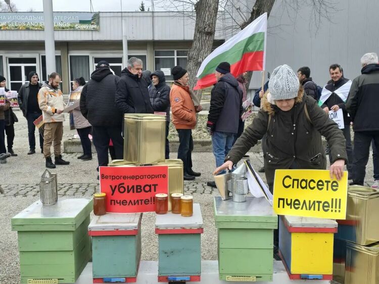 Пчеларите настояват да се забрани строителството на соларни и вятърни централи върху земеделски земи