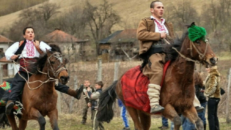 Тодоровден в пернишкото село Люлин ще се проведе изцяло и само с коне от породата „тежковози“, съобщиха организаторите