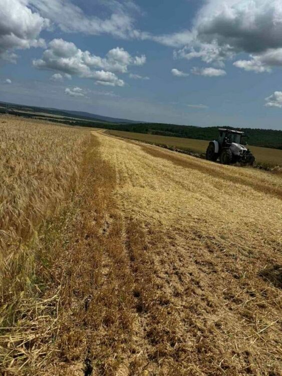 Добивите от жътвата в Югоизточна България са под обичайните нива
