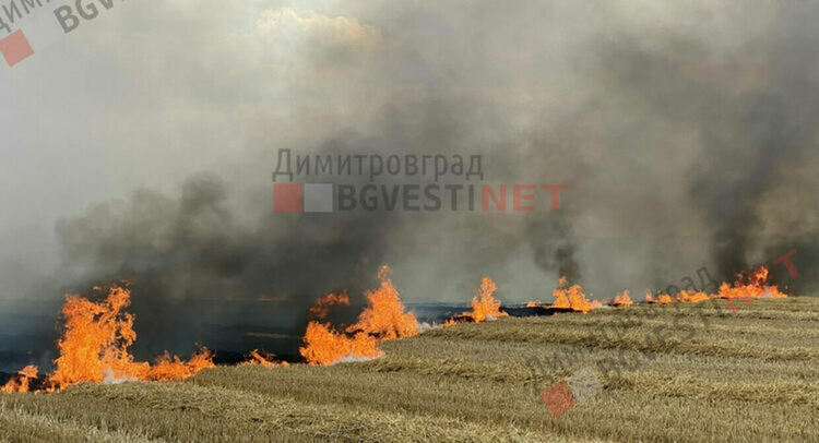 Пожар гори в димитровградско