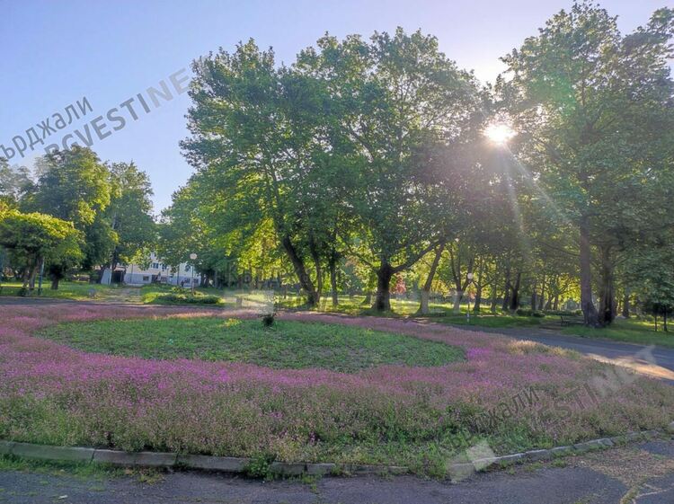 Слънчево с умерен вятър днес в Кърджали