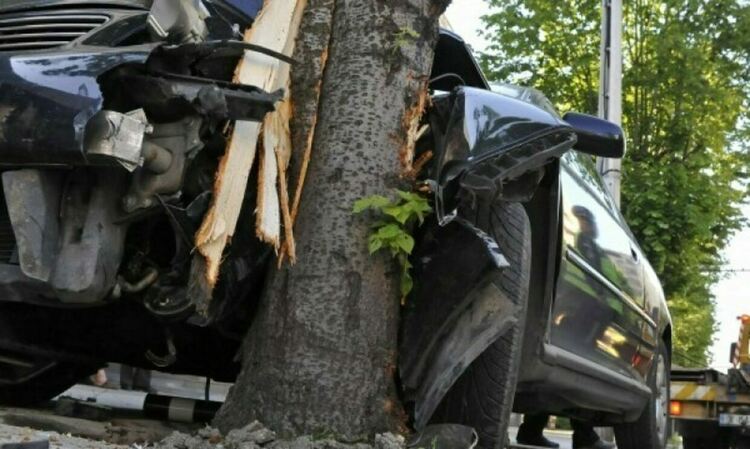 Водач загина на място след удар в мантинела и дърво