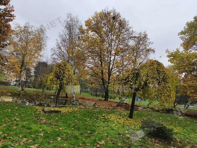 Предимно слънчево и тихо време днес в Кърджали
