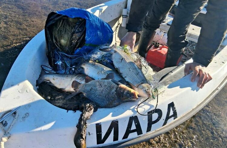 Инспектори на ИАРА иззеха незаконни риболовни мрежи от язовир „Доспат“