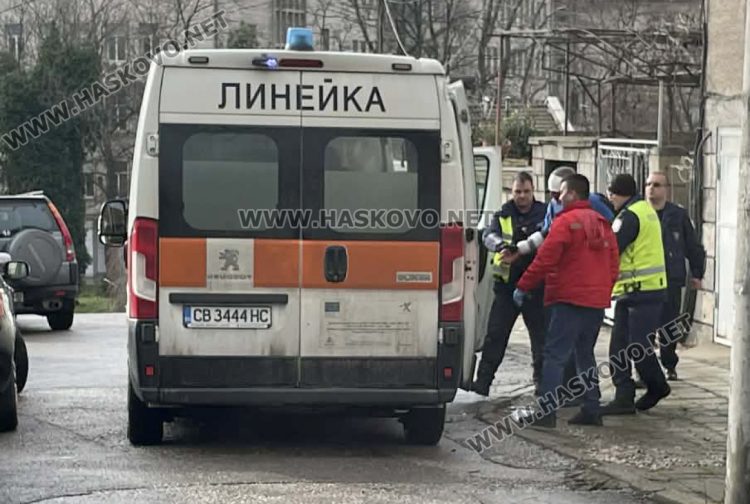 МВР–Хасково: Няма опасност за прободеното с нож куче и за нападателя