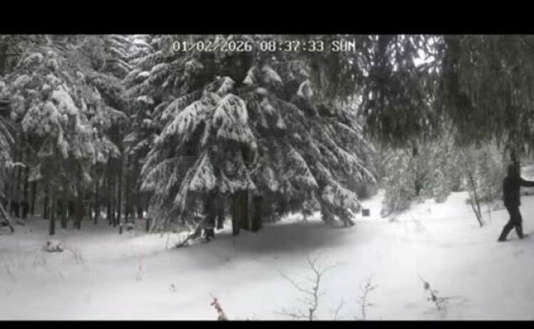 Получава ли Ивей инструкция на английски в деня X? Проверихме записа