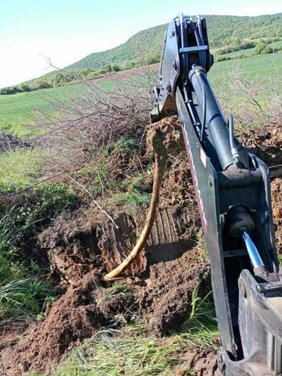 Извадиха растения, дълги над 20 м от водопровод