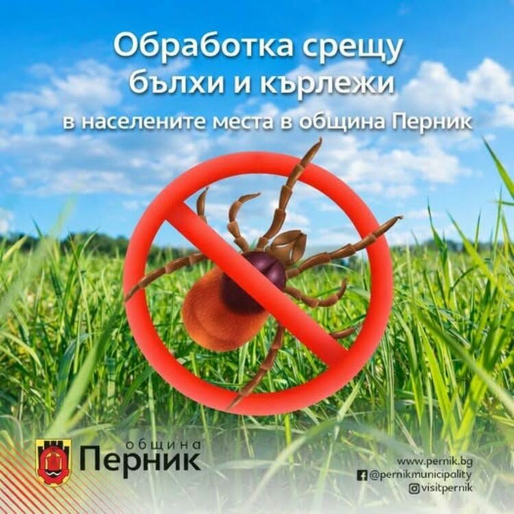 Утре вечер от 21:00ч. ще започне повторна обработка срещу кърлежи и бълхи