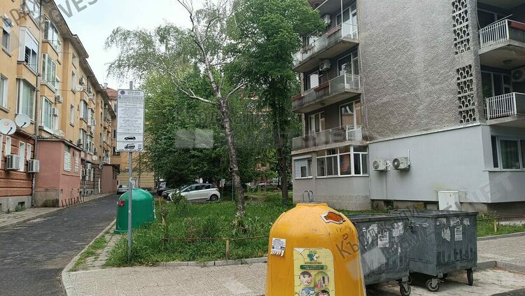 Кърджалийци сигнализират за съхнеща брезичка до контейнери за смет,опасяват се от падащи клони