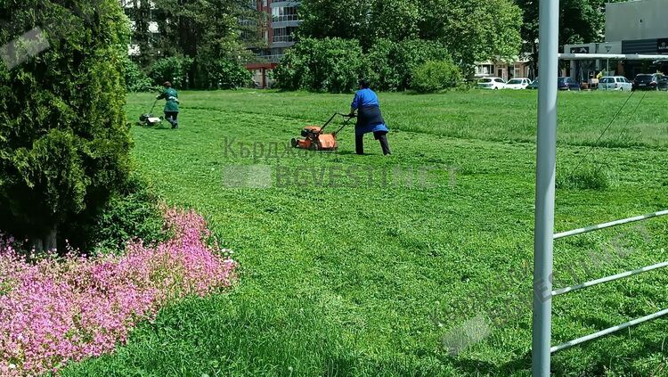 Четири пъти поред косят вече в центъра на Кърджали,незапомнено избуяване на тревата заради дъждовете
