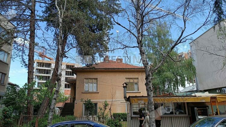 Брезите по бул.“Тракия“в Кърджали  съхнат,предстои премахването им