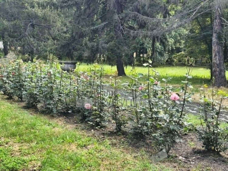 Променлива облачност днес над Кърджали,жълт код за обилни валежи