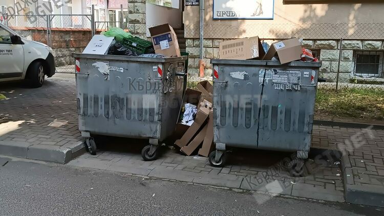 Община Кърджали в битка с кашоните,заливащи бобрите за смет в града