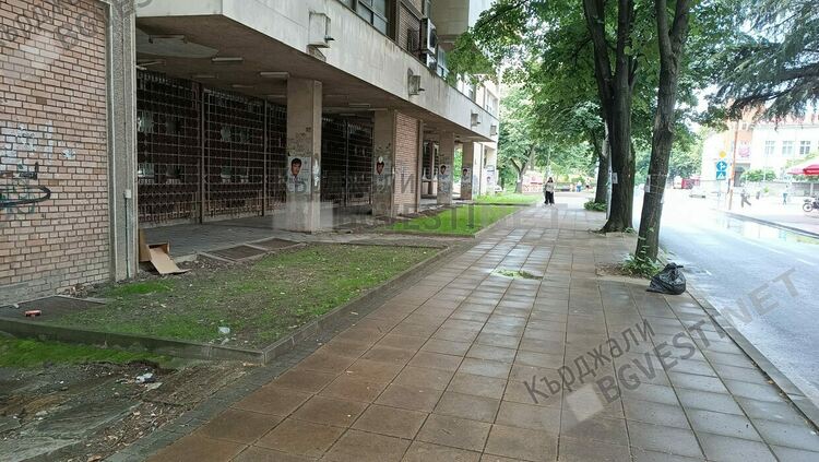 Зелена трева поникна в т.нар.“Картофена нива“до Пощата след реакция на Кърджали бг вести