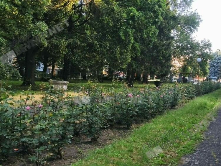 Променлива облачност над Кърджали днес,ветровито
