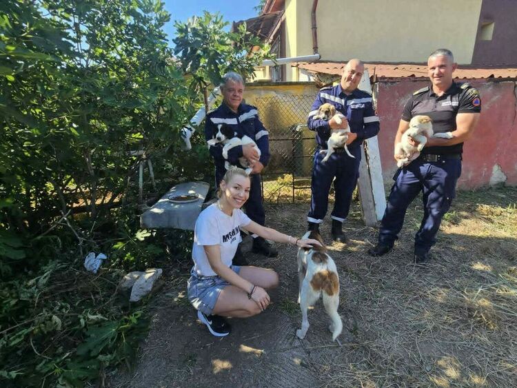 Пожарникари спасиха две кученца, паднали в кладенец в Любимец