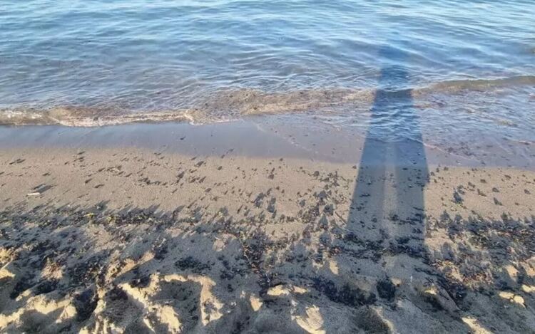 Напук на мазута властите обявиха морето за кристално чисто