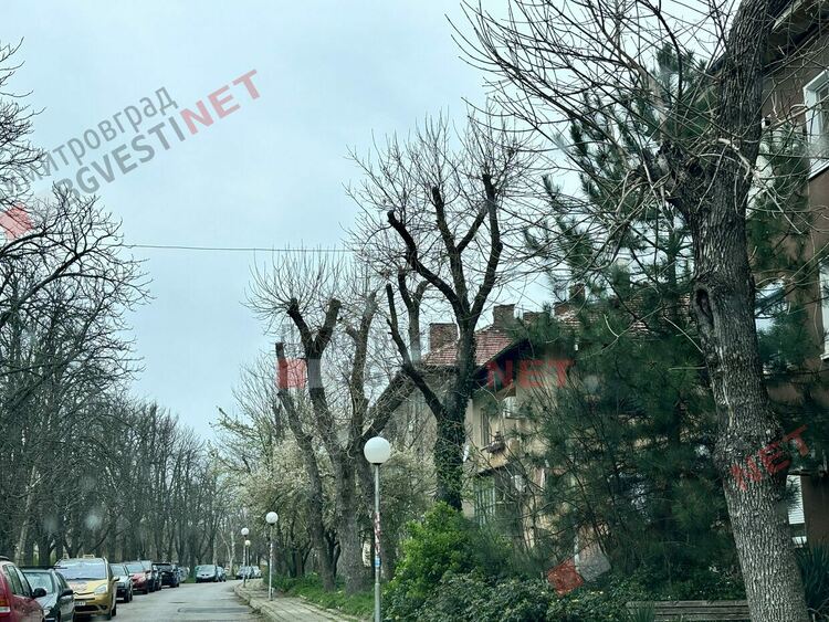 Община Димитровград започва озеленяване за по-чист въздух